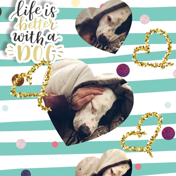 Meet your Posher, Dani - Picture 2 of 7